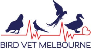 Bird Vet Melbourne really small Logo
