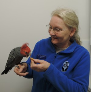 Dr Pat Macwhirter Avian Specialist