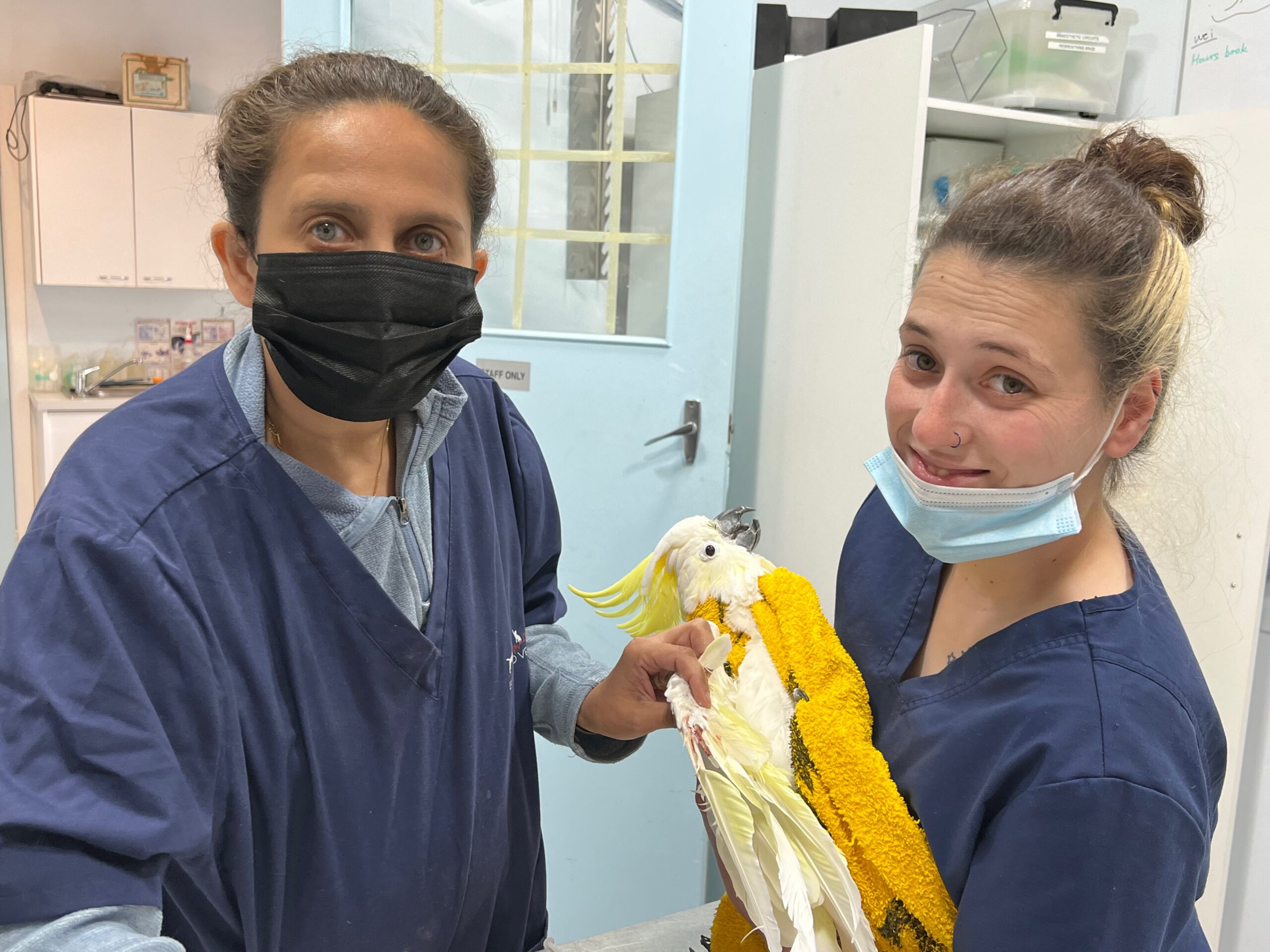 Vet Dr Shereni Joshi avian Nurse Katelyn