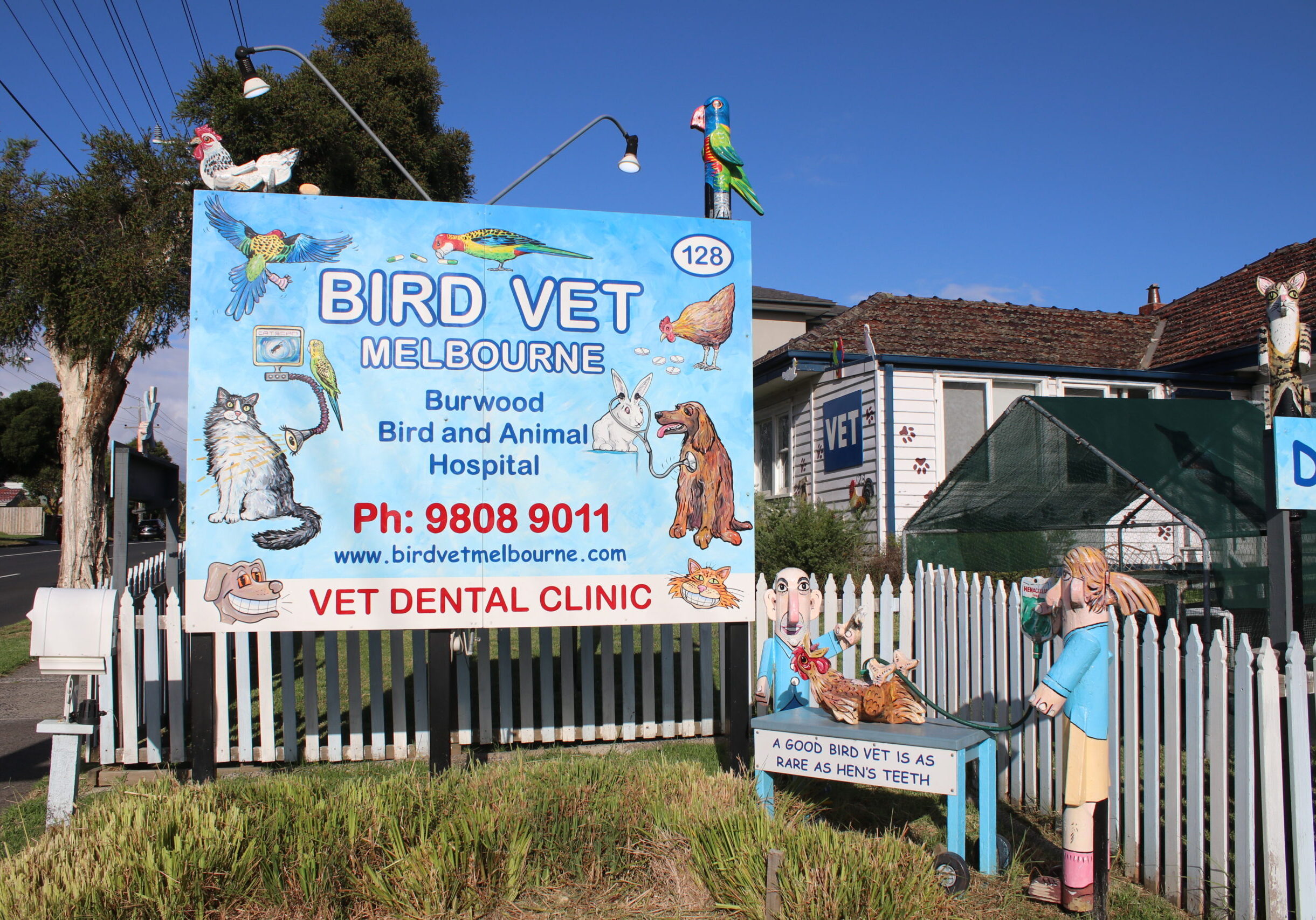 Bird Vet Melbourne Vet Clinic