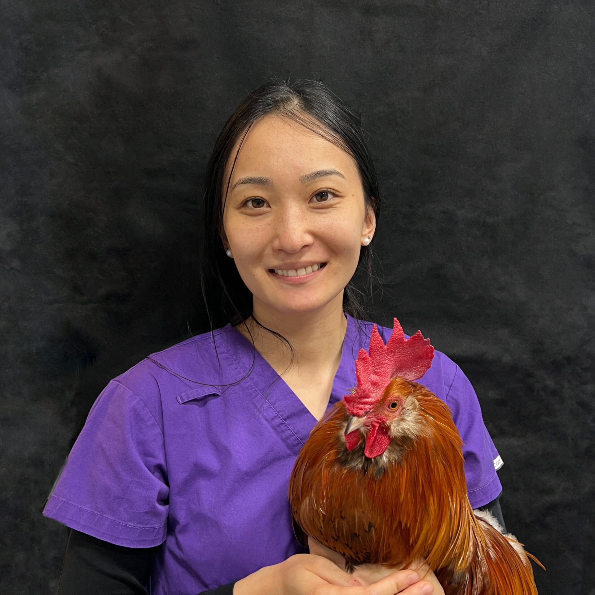 Dr Kelly Gan veterinarian